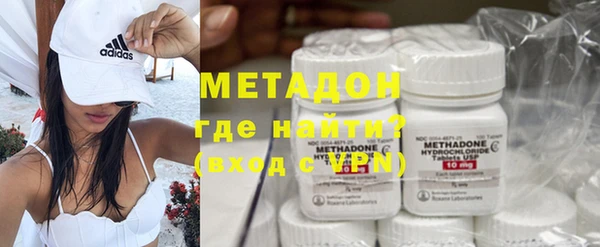 шишки Белокуриха