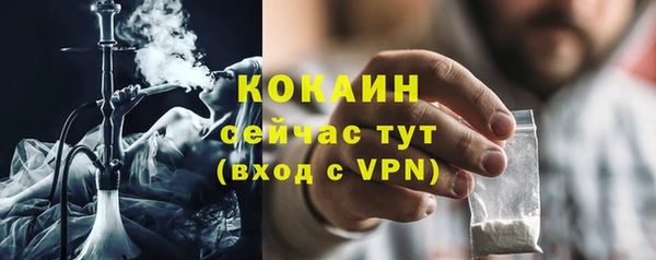 шишки Белокуриха