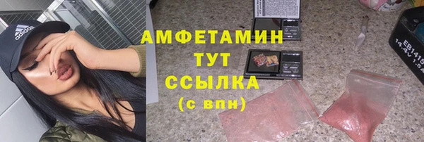 шишки Белокуриха
