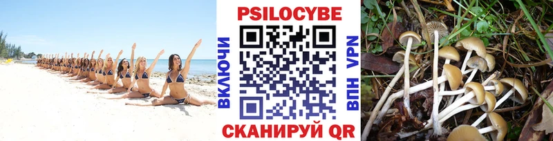 Псилоцибиновые грибы Psilocybine cubensis  мега рабочий сайт  Ершов 